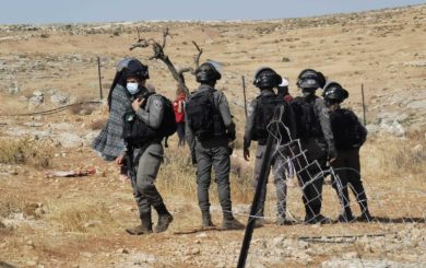 Landbrukseiendommer blir ødelagt i Altwaneh-området i Hebron.