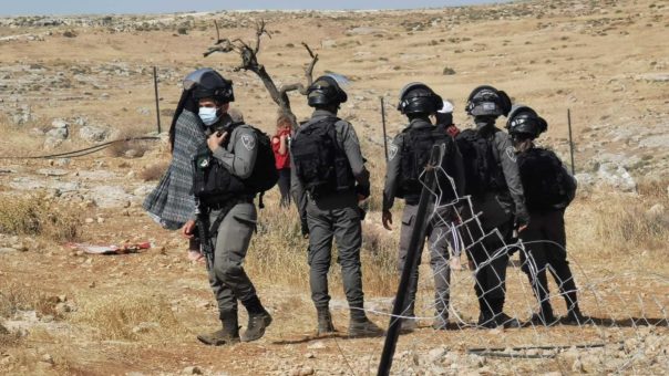 Landbrukseiendommer blir ødelagt i Altwaneh-området i Hebron.