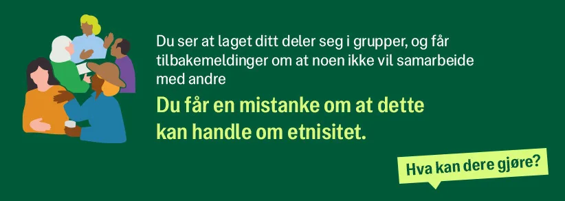 Du ser at laget ditt deler seg i grupper, og får tilbakemeldinger om at noen ikke vil samarbeide med andre. Du får en mistanke om at dette kan handle om etnisitet.