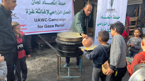 Matutdeling i Gaza. Barn står i kø for å få utdelt suppe og brød.