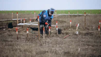 Kvinnelig minerydder hamrer ned markeringspinner i et minefelt