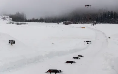 Dronesverm FOR 00988 web