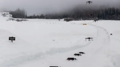 Dronesverm FOR 00988 web