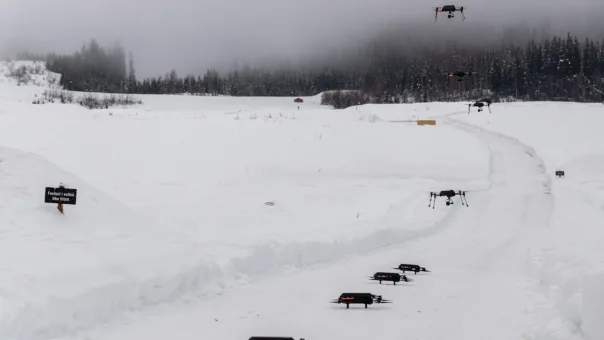 Dronesverm FOR 00988 web