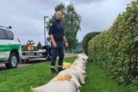 Frivillige fra Horten og Drammen stablet 1000 sandsekker for å sikre et borettslag ved Drammenselva.
