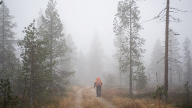 Bildet viser en person med sekk som går i en tåkete høstlandskap.