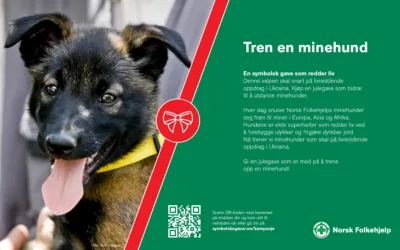 NF banner 960x600 hundesport Korr1