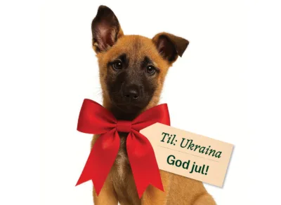 Julekampanje kvadratisk annonse Cropped2