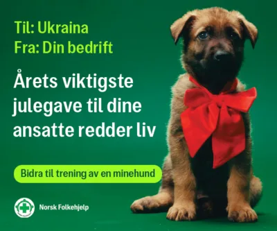 Annonse til nyhetsbrev 300 250