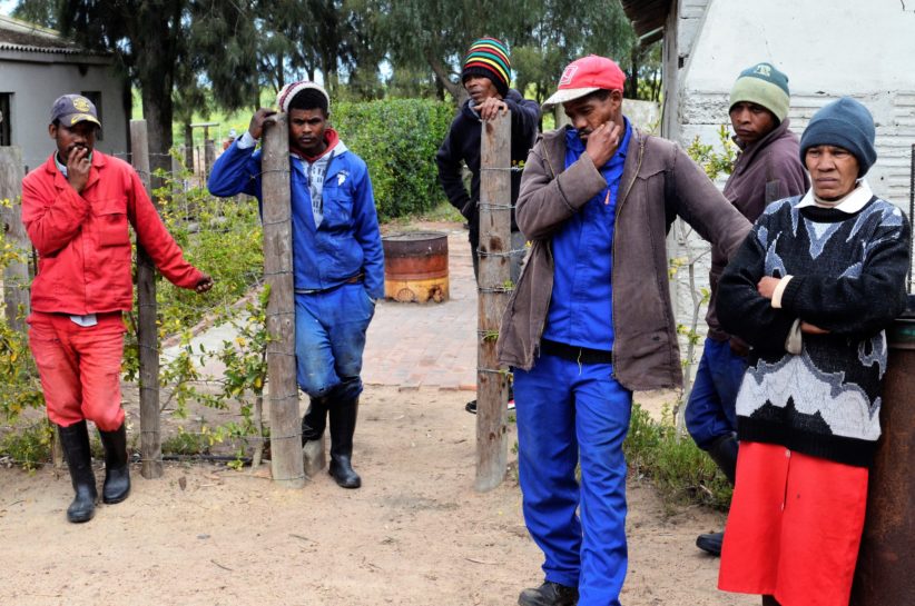 Arbeidere og tillitsvalgte i fagforeningen til vinarbeiderne, CSAAWU, i et vingård-distrikt utenfor Cape Town.