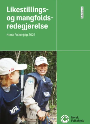 Likestilling mangfold